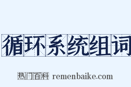 循环系统组词是什么意思的图片